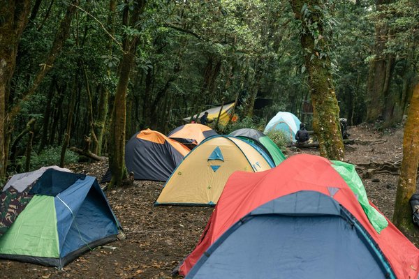 Guide ultime pour un voyage en asie : astuces et histoires fascinantes